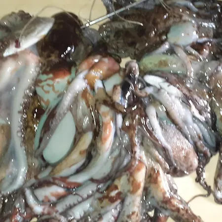 Διαμέρισμα Casa Dello Scoglio Nel Mare *