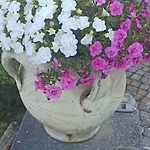 Casa Dello Scoglio Nel Mare Apartament