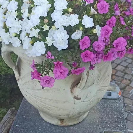 Casa Dello Scoglio Nel Mare アパート