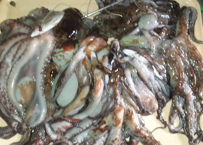 公寓 Casa Dello Scoglio Nel Mare *